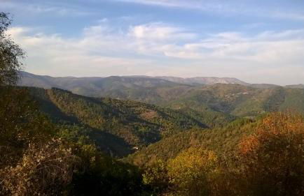 Les Hauts de Saint Privat - Foto 30