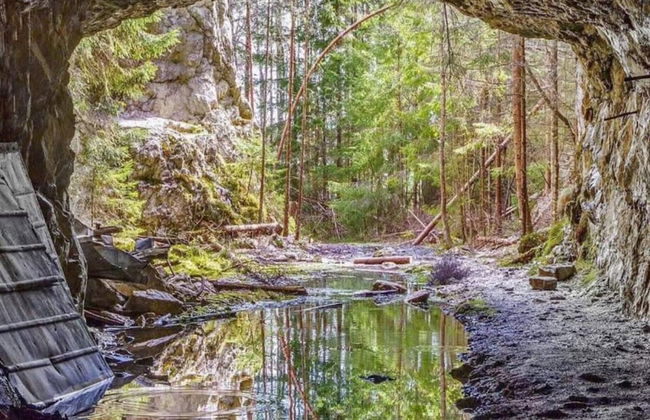 4 Person Holiday Home in Ulfborg-by Traum - Photo 13