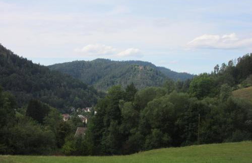 Ferienwohnungen Schwabenhof - Foto 17