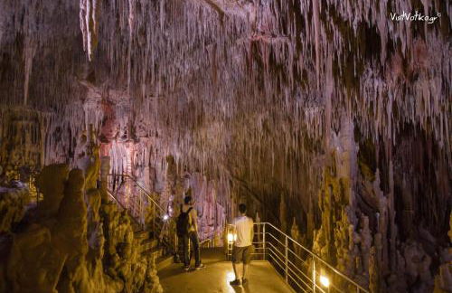 Εξοχική Μονοκατοικία με αυλή και εξωτερική αποθήκη-Country house with yard and external warehouse - Foto 71