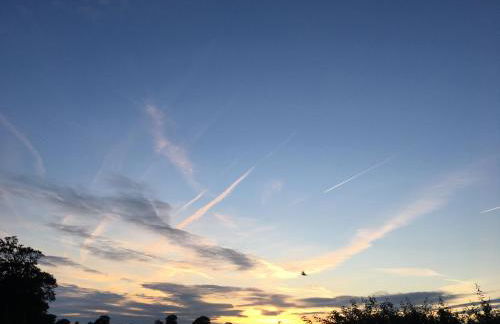 Walnut Tree Lodge - Photo 22