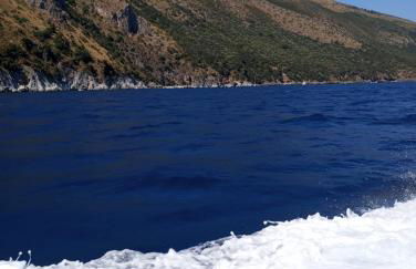 Scario house - Foto 15