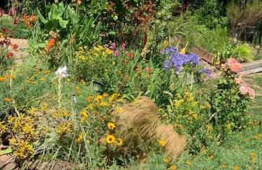 Amazing Santa Cruz Landscaped Paradise - Foto 13