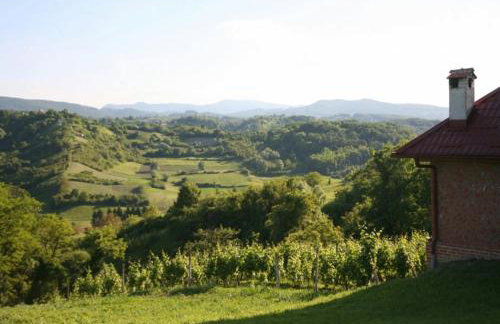 Ruralna kuća za odmor Ružica - Foto 21