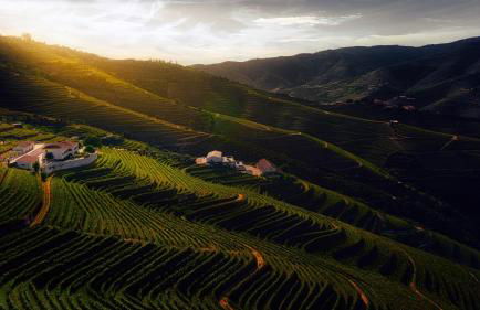 Quinta da Côrte - Foto 31