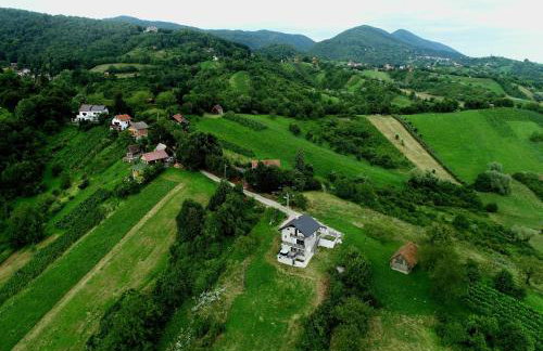 Deja View - Photo 26