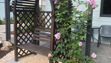 Turkusowy Zakątek - Foto 4, Garden, Garden view