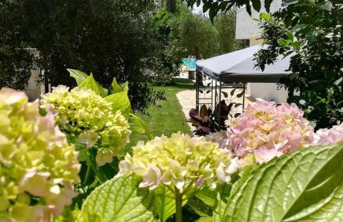 Residenza Aurora - Foto 99