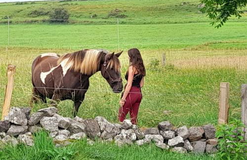 Gîte rénové pour 4 pers. avec accueil équin, Saint-Front - FR-1-582-538 - Foto 23