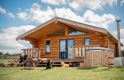 Rowan - Tedstone Log Cabins - Foto 33