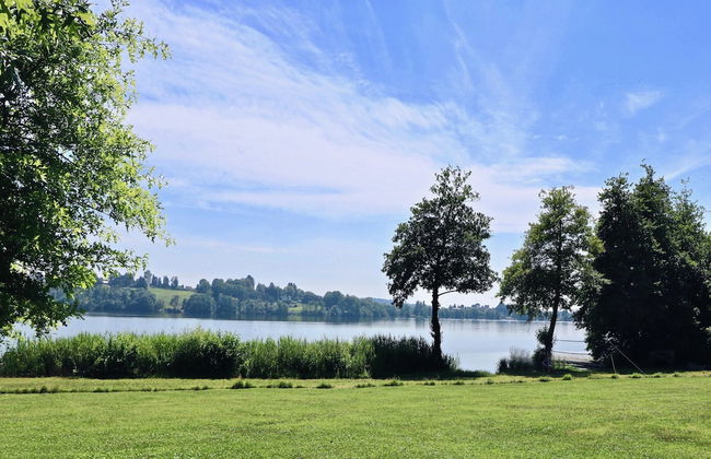 Rododendro Rosso in Ispra - Foto 31