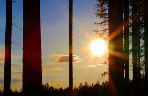 Gemutliche Ferienwohnung in Cattenstedt - Foto 69