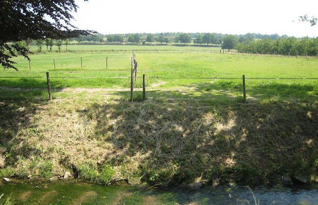 Located Near Maastricht Towards the Belgium Border - Photo 64