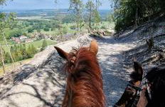Aspen Leaves: The perfect farm retreat - Foto 30