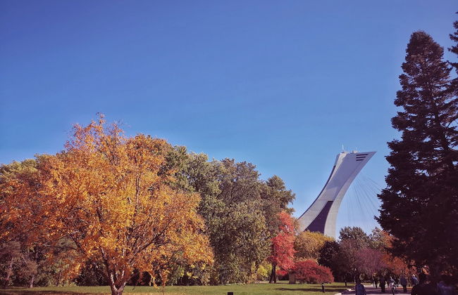 HoMa HomeStay Hotel by Olympic Stadium Montreal (Auberge/Hostel) - Foto 74