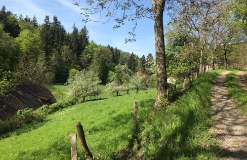 Lichtdurchflutetes Traum-Loft mit Panoramablick - Foto 22