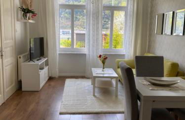 Villa Rheinblick - Foto 8