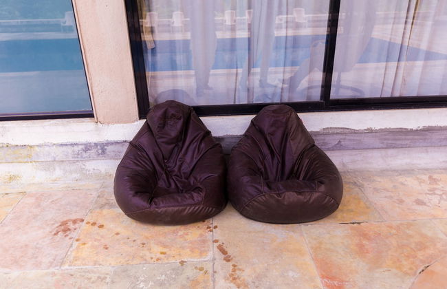 Shetty Farms - Foto 44