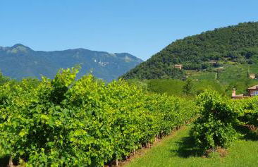 Casa Lorelein - Foto 44