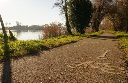 Forest Terrace Praia de Mira - Foto 36