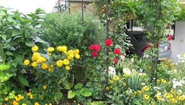Abendstille am Obstgarten mit Terrasse - Foto 2, Garden view
