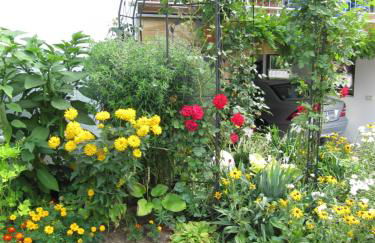 Abendstille am Obstgarten mit Terrasse - Foto 2