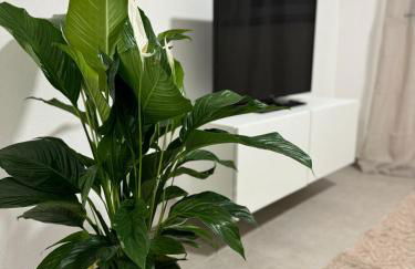 City Residenz , Europa-Park - Rulantica - Foto 38