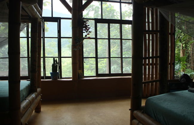 Sol de minca - Photo 63