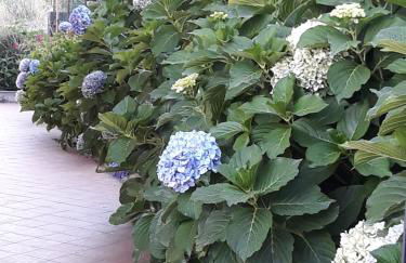 La Casa Dei Colori - Foto 2