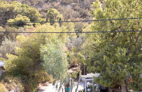 The Pines apartment - Foto 22