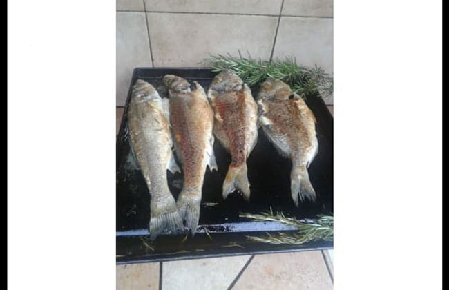 Charming Palit Kroatien Holiday House With Garden - Foto 5