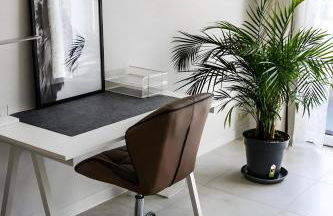 Ruhige, zentrale Fewo in Offenburg - Foto 24