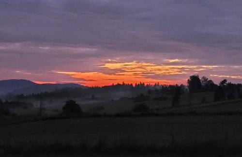 Pastelova Krova - domki w Bieszczadach - Foto 35