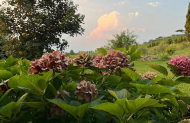 Corte Monticello - Foto 48