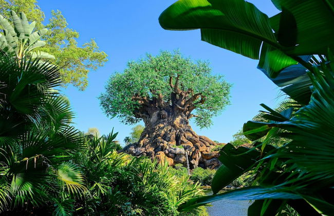 4779 Solterra - Foto 79