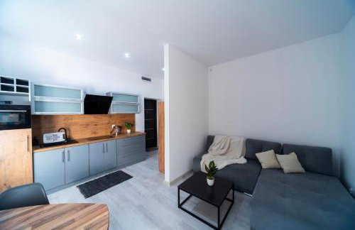 Apartament pod Zamkiem Książ "Nowa Szwajcarka" - Foto 17