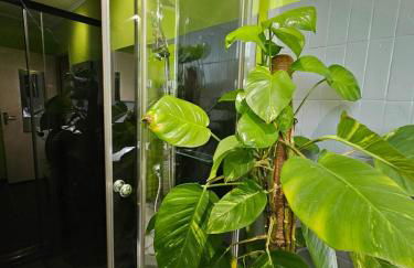 Le Séquoia - Sérénité, Zoo de Beauval et Châteaux - Foto 11