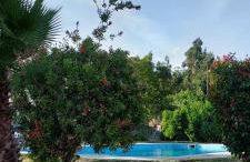 Lugar de Levides - Foto 1