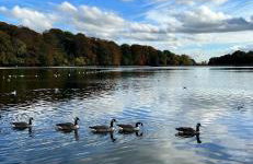 2 bed, 2 bath apartment in Roundhay - Foto 35