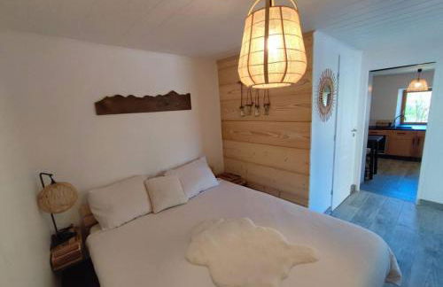 près des cimes - Photo 8