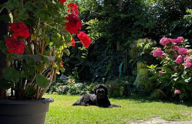 Apartment Hiža 38 - Foto 10