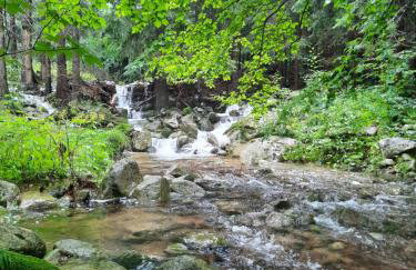 Dworek nad Potokiem - Photo 37