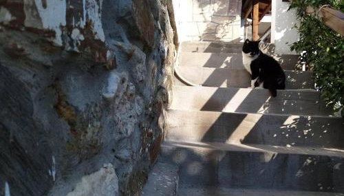 Beautiful Petrino 1880 - Foto 2