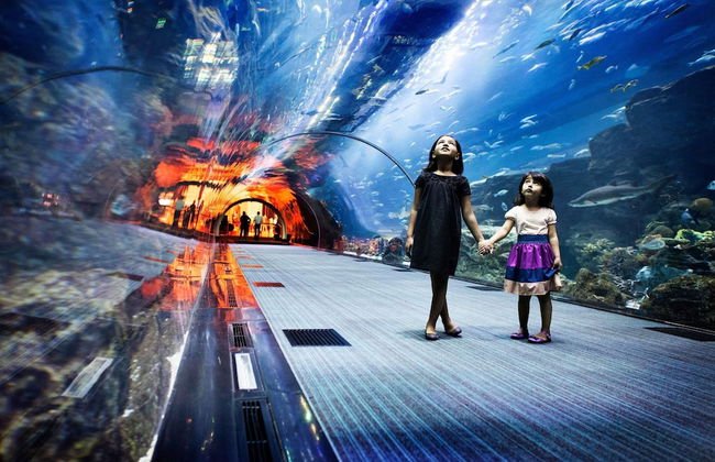 Adagio Premium Dubai Al Barsha - Photo 58