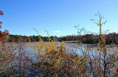 Pool and Beach Access! Lake Arrowhead Hideaway - Foto 36