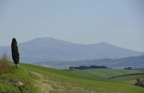 Santa Maria ad Valetudinarium - Foto 10