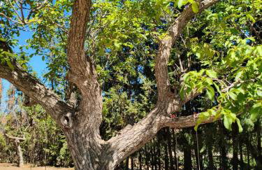 Casa Rural "La villa del pistacho" - Foto 15