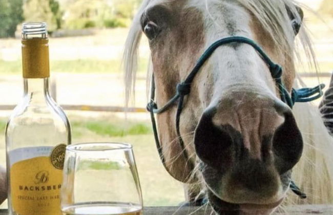 Beautiful 1-bed Secluded Cabin, With bar & Fire - Foto 5