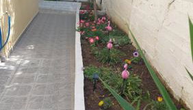 Apartment Dolphins - Photo 5