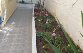 Apartment Dolphins - Photo 5